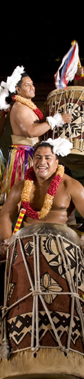 hawaii percussie